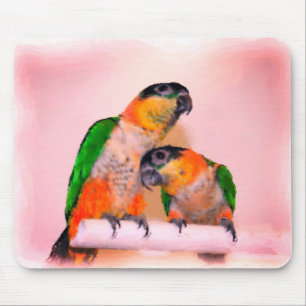 Cute Caique Parrot Pair Bird Art Muismat