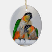 Cute Caique Parrot Pair Bird Ornament (Rechts)