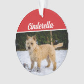 Cute Cairn Terrier Dog Fête de Noël Photo (devant)