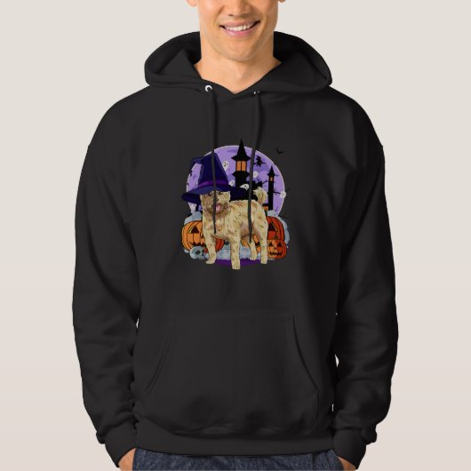 Cute Cairn Terrier Halloween Witch Pumpkin Hoodie (Voorkant)