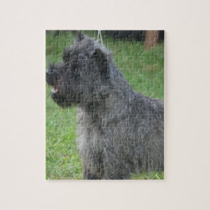 Cute Cairn Terrier Legpuzzel