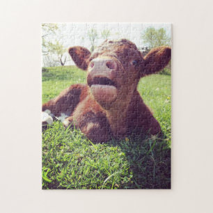 Cute Calf in het grasland Legpuzzel
