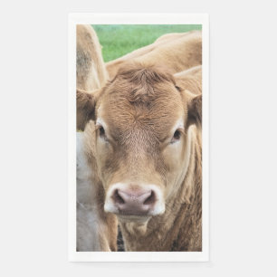 CUTE CALF SERVET