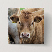 CUTE CALF VIERKANTE BUTTON 5,1 CM (Voorkant)