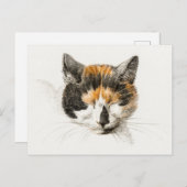 Cute Calico Cat Briefkaart (Voorkant / Achterkant)