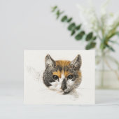 Cute Calico Cat Briefkaart (Staand voorkant)