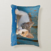 Cute Calico Cat Kitten Funny Curious Eyes Foto -/ Accent Kussen (Achterkant (Verticaal))