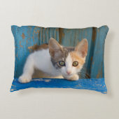 Cute Calico Cat Kitten Funny Curious Eyes Foto -/ Accent Kussen (Achterkant)