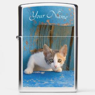 Cute Calico Cat Kitten Funny Curious Eyes - Naam -
