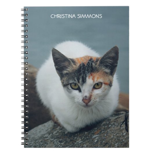 Cute Calico Cat Personalized Notitieboek (Voorkant)