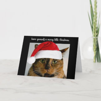 Cute calico cat with Santa cap, personalized Feestdagen Kaart