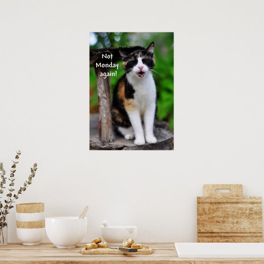 Cute Calico Chat "Pas Lundi Encore !" Affiche (Cuisine)