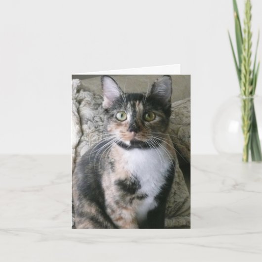 Cute Calico Chat, Purrfect Carte Anniversaire (Devant)