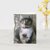 Cute Calico Chat, Purrfect Carte Anniversaire (Fleur jaune)