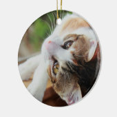 Cute Calico Kitten kerstversiering Keramisch Ornament (Links)