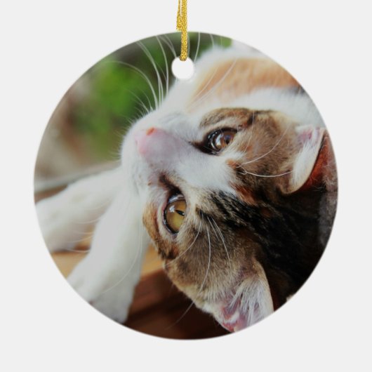 Cute Calico Kitten kerstversiering Keramisch Ornament (Achterkant)