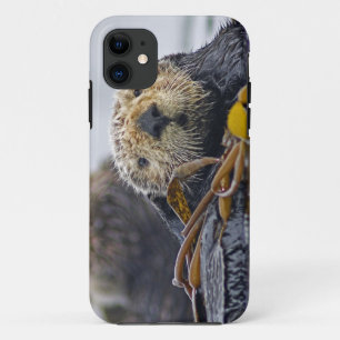 Cute California Zee Otter Enhydra lutris iPhone 11 Hoesje