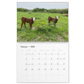Cute Calves Kalender (Feb 2026)