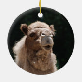 Cute Camel Keramisch Ornament (Achterkant)