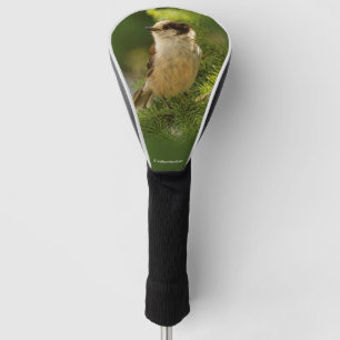 Cute Canada Gray / Grey Jay / Whiskeyjack Golfheadcover