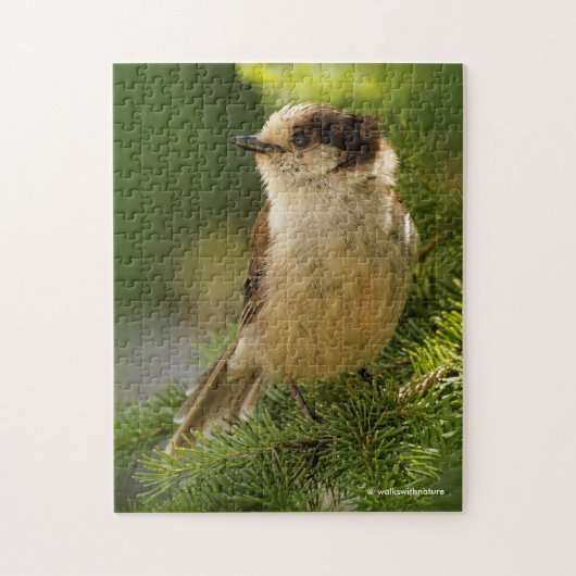 Cute Canada Jay / Grey Jay / Whiskeyjack Legpuzzel (Verticaal)