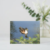 Cute canard de natation do-it-yourself carte posta (Debout devant)