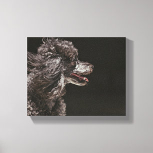 Cute Canvas Afdruk