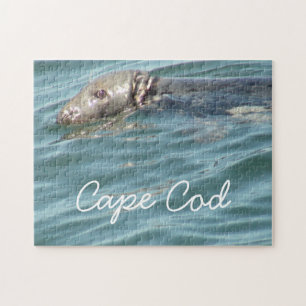 Cute Cape Cod Seal Photography Legpuzzel