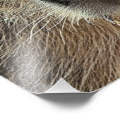 CUTE CAPYBARA FOTO AFDRUK (Hoek)