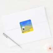 Cute Cartoon Fish Vierkante Sticker (Envelop)