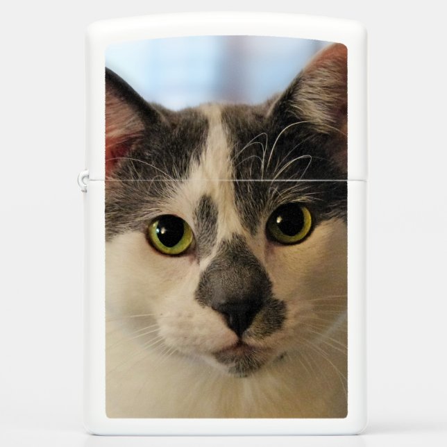 Cute Cat (Voorkant)