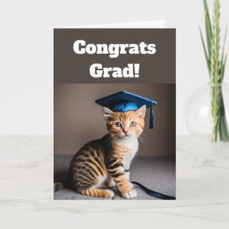 Cute Cat Afstuderen Kaart