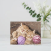 Cute Cat Briefkaart (Staand voorkant)