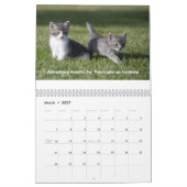 Cute Cat Calendar Kalender (Mar 2027)