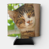 Cute Cat Climbing a Tree Blikjeskoeler (Voorkant)