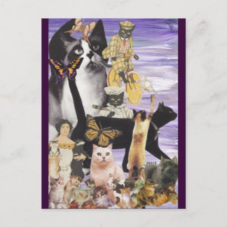 Cute Cat Collage 4 Briefkaart