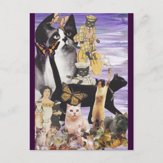 Cute Cat Collage 4 Briefkaart (Voorkant)