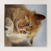 Cute Cat Collectie 6 Legpuzzel (Horizontaal)