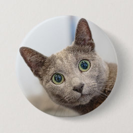 Cute cat-custom pet foto Button