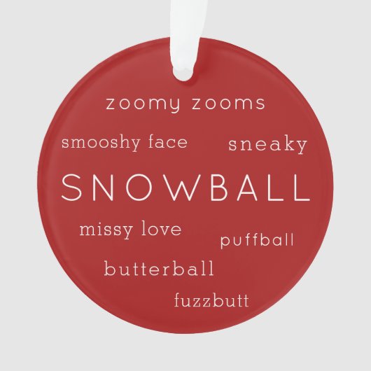 Cute Cat Dog Pet Photo Multiple Funny Nicknames Ornament (voorkant)