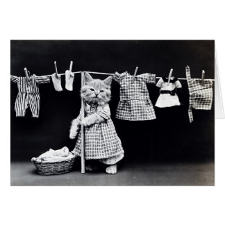 Cute Cat Doing Laundry in Clothes Print