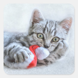 Cute Cat en Santa Claus Pet Vierkante Sticker