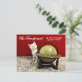 Cute Cat et Romans 12:2 Bible Verse Carte postale (Debout devant)