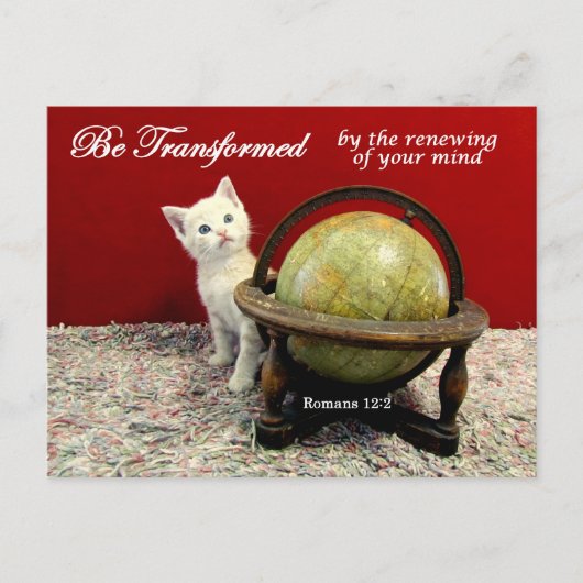 Cute Cat et Romans 12:2 Bible Verse Carte postale (Devant)