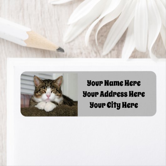 Cute Cat Etiket (Insitu)