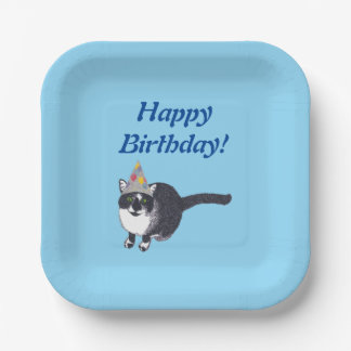 Cute Cat Feesthoed Happy Verjaardag Borden 2 Papieren Bordje
