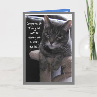 Cute Cat Funny Belated Birthday Kaart