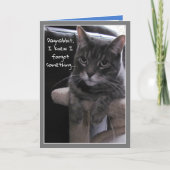 Cute Cat Funny Beldate Anniversaire Carte (Devant)
