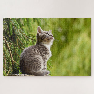 Cute Cat Gray Kitten Green Pine Tree Legpuzzel