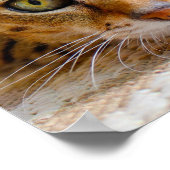 Cute Cat Gros plan petit poster (Coin)